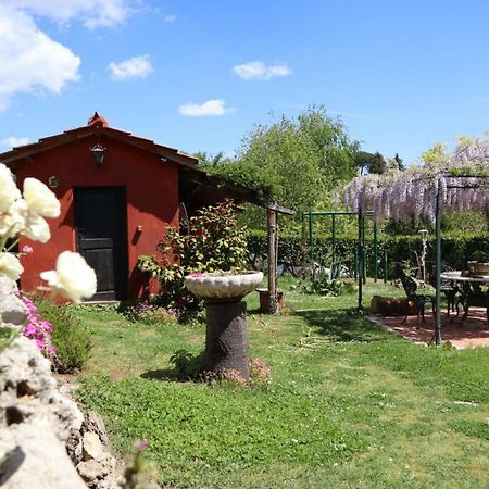 Casal d'Upupa San Cesareo Exterior foto